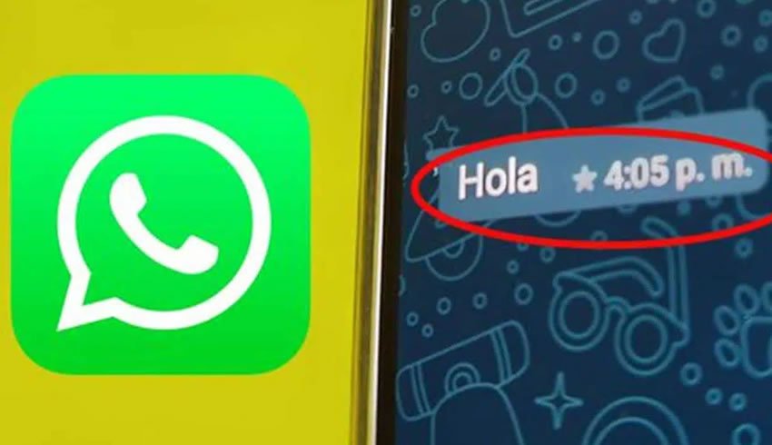 estrela whatsapp