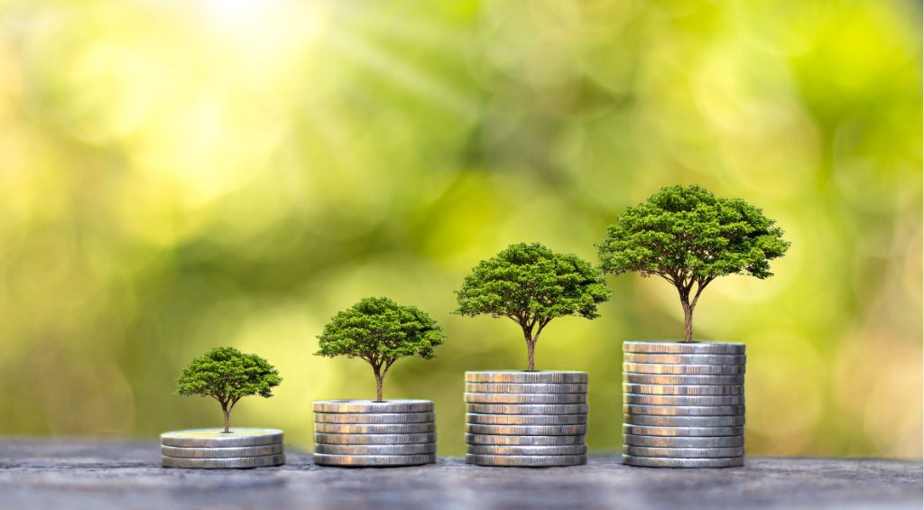 Liberdade financeira: dicas para conquistar independência 3 Liberdade financeira 2